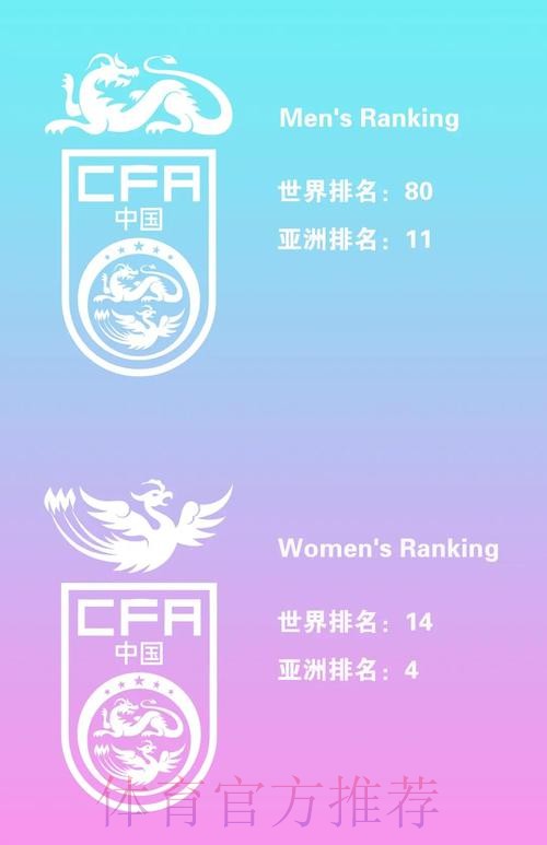 世界杯买球热门球队盘点与推荐