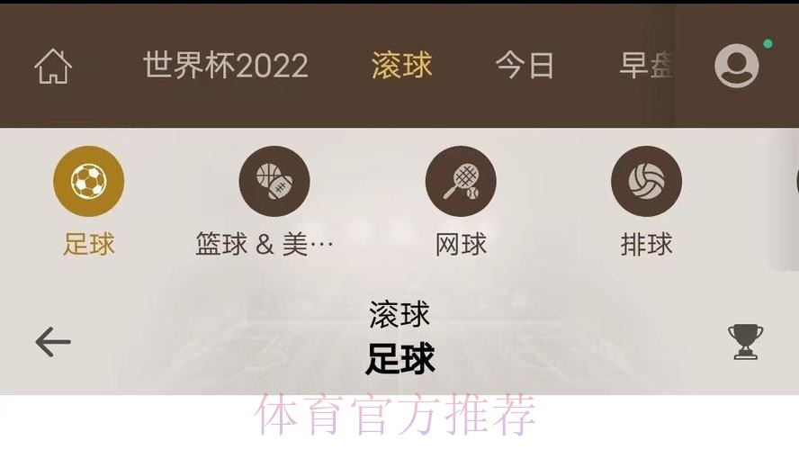 全面解析：世界杯滚球手机入口地址的选择指南