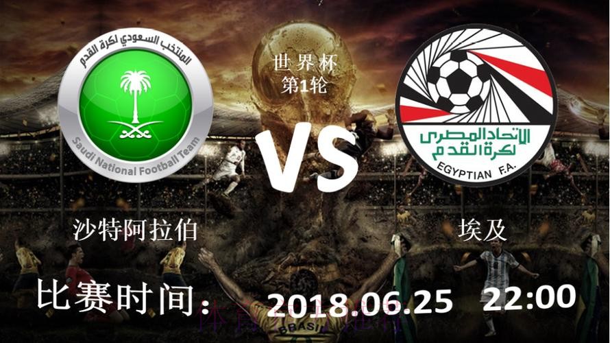 全面解析：世界杯滚球手机入口地址的选择指南